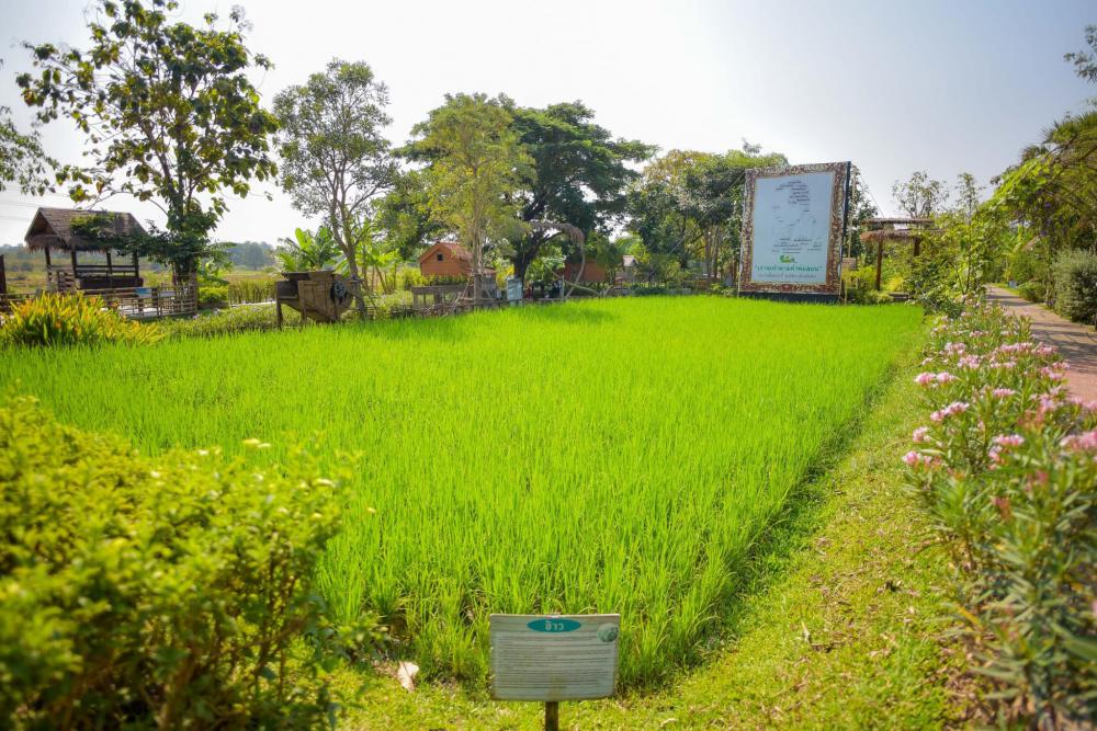 ศูนย์การเรียนรู้เศรษฐกิจพอเพียงบ้านของพ่อ จ.อยุธยา ตามรอยวิถีเกษตรในหลวง รัชกาลที่ 9