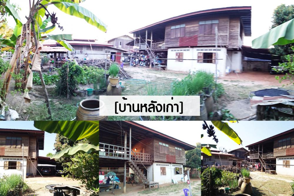 บ้านสไตล์นอร์ดิก BAAN LEEPROM บ้านลีพรม รูปที่ 2