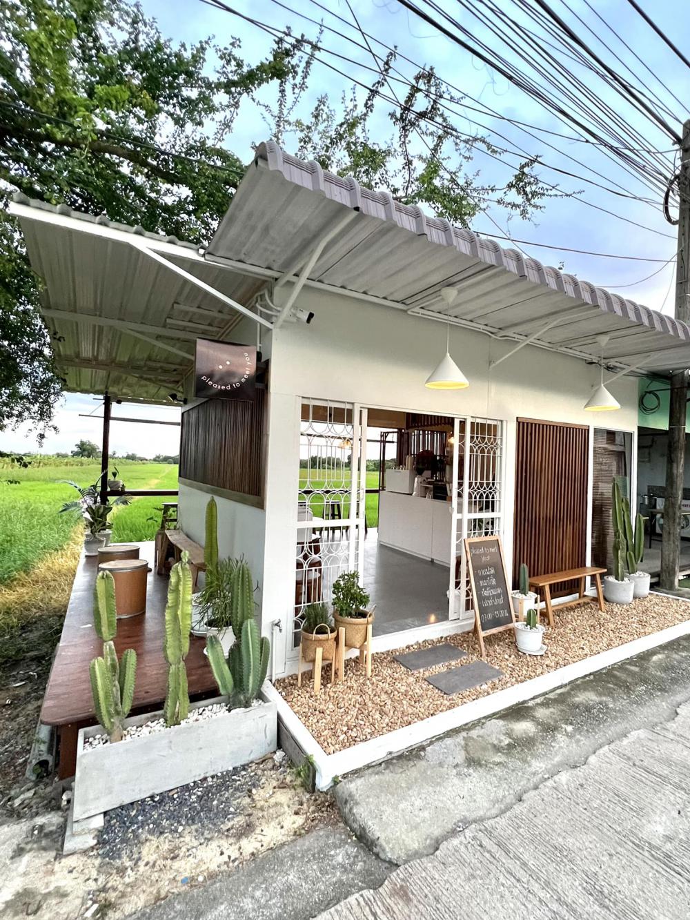 ไอเดียร้านกาแฟด้านหลังเป็นนาข้าว อากาศดีน่านั่งท่ามกลางธรรมชาติ รูปที่ 1